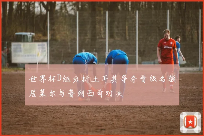 世界杯D组分析土耳其争夺晋级名额居莱尔与普利西奇对决